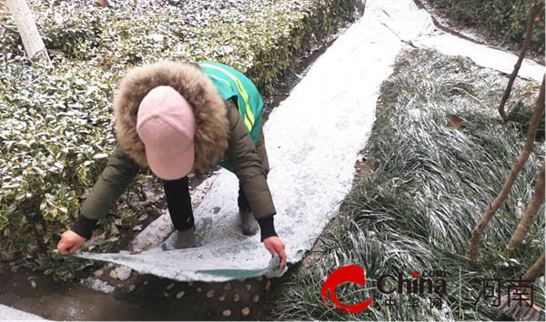 驻马店开发区城市管理局：清除积雪保通畅|每日简讯