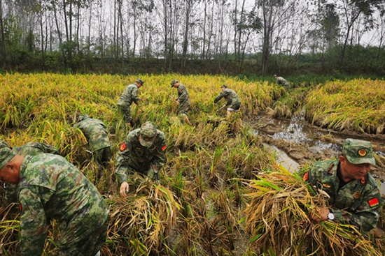 天天新动态：​挽起裤腿下田 甩开膀子帮困 潢川县动员民兵帮助困难群众抢收抢种