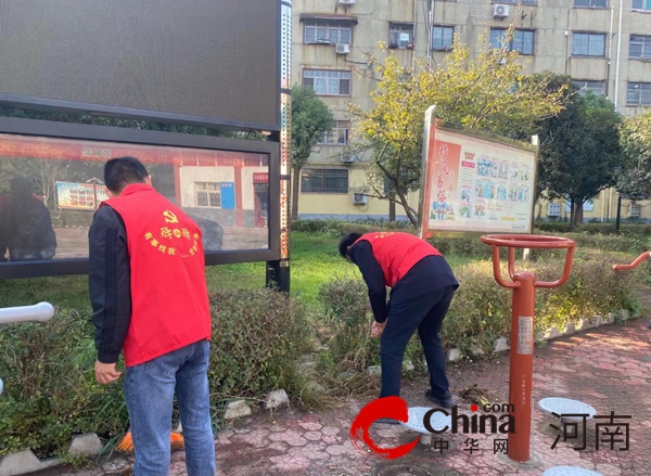 全球观点：驻马店市驿城区老街街道飞龙社区“驿小驿”党群服务站开展“清洁家园美化环境”活动