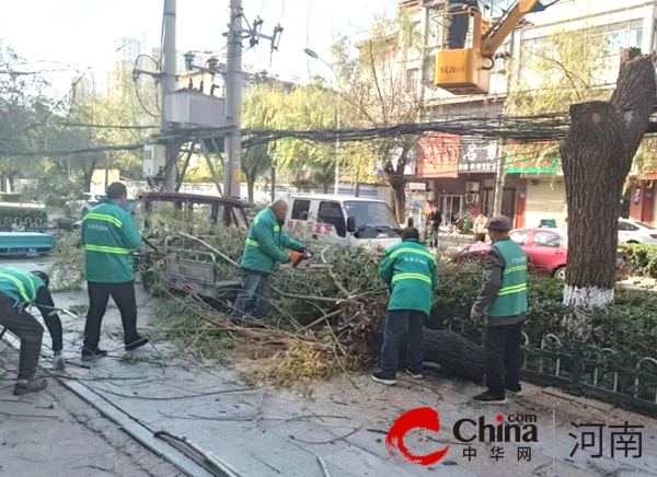 驻马店开发区城市管理局：砍伐危树除隐患 筑牢绿化安全防线